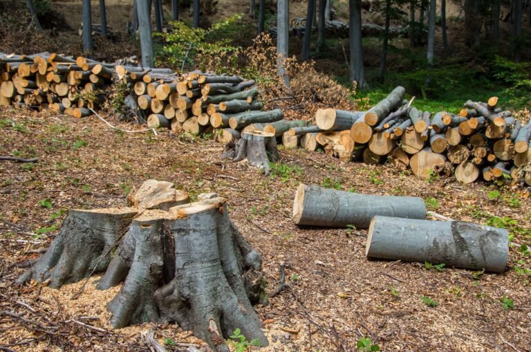 land clearing warner robins